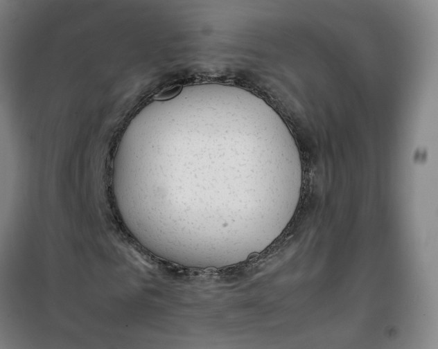 X0000100380961200807031921