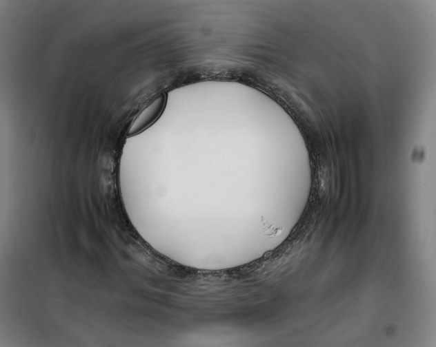 X0000100380964200807031921