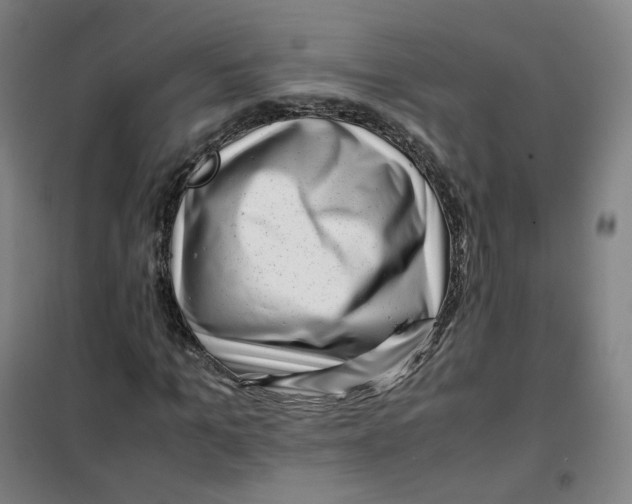 X0000100380965200807031921