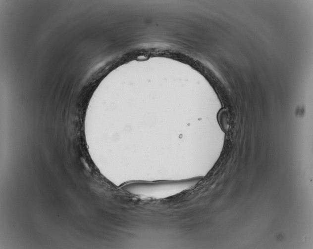 X0000100380967200807031921