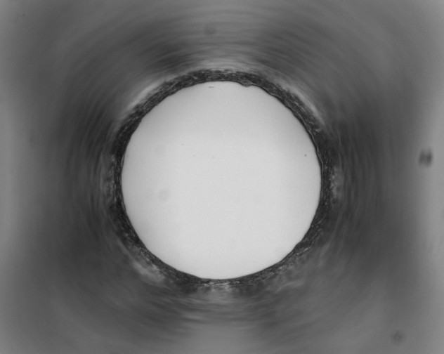 X0000100380968200807031921