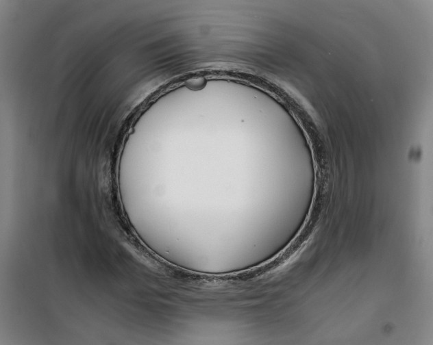X0000100380969200807031921