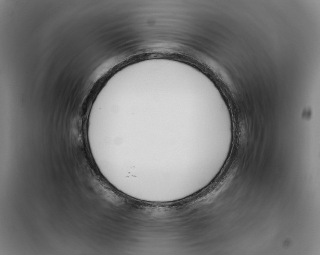X0000100380970200807031921