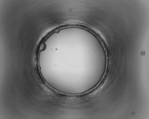 X0000100380973200807031921