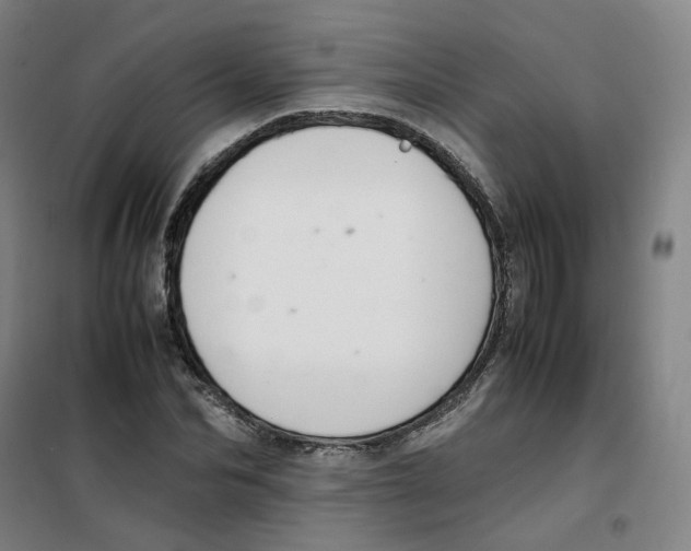 X0000100380974200807031921