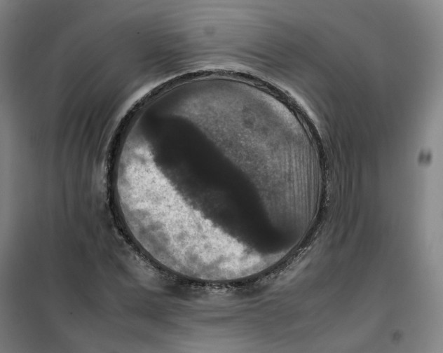X0000100380975200807031921