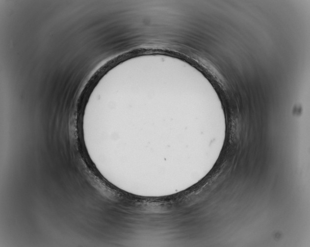 X0000100380976200807031921