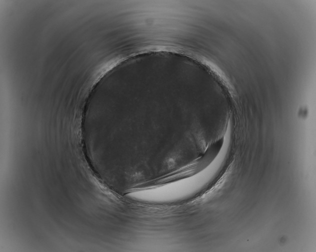 X0000100380977200807031921