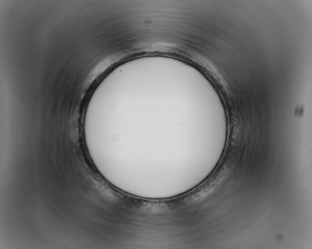 X0000100380978200807031921