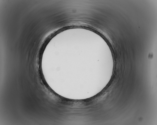 X0000100380979200807031921