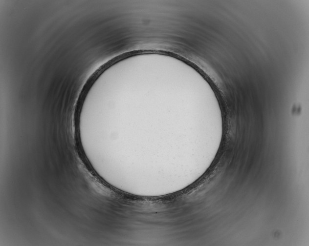 X0000100380980200807031921