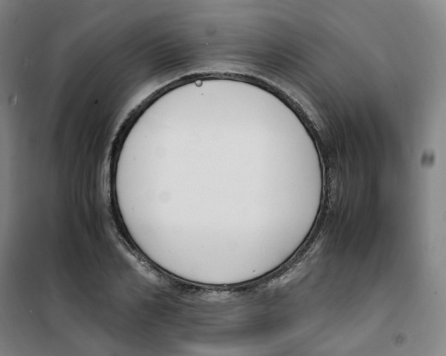 X0000100380982200807031921