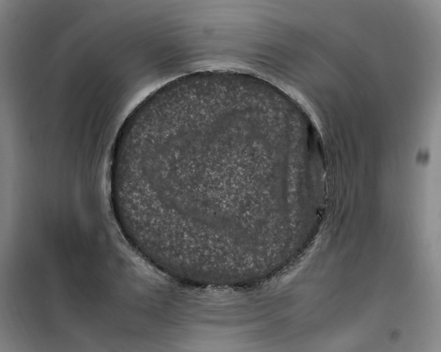X0000100380983200807031921