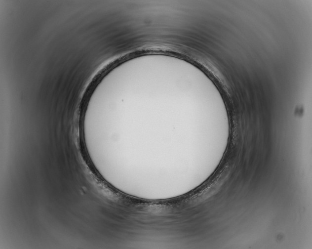 X0000100380984200807031921