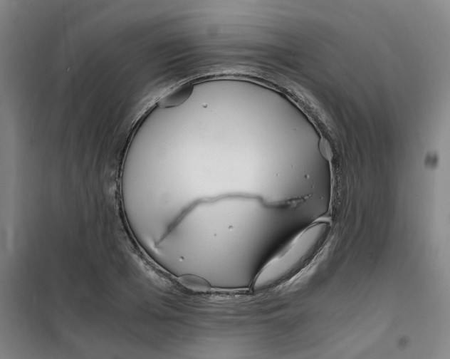 X0000100380985200807031921