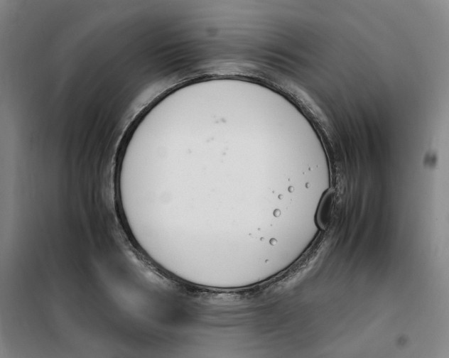 X0000100380986200807031921