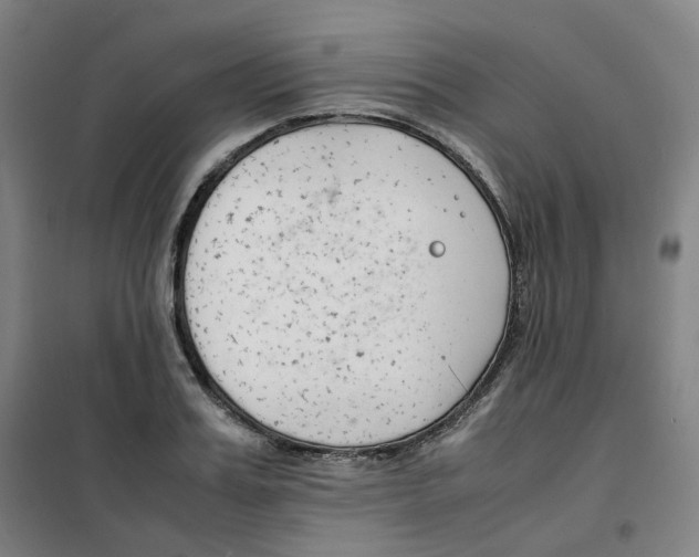 X0000100380987200807031921