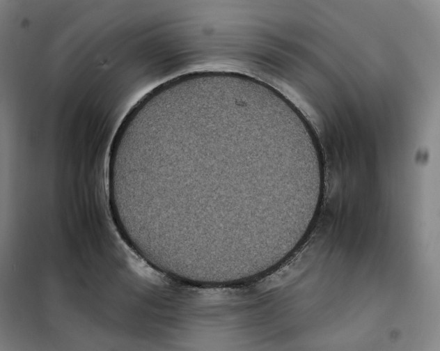 X0000100380988200807031921