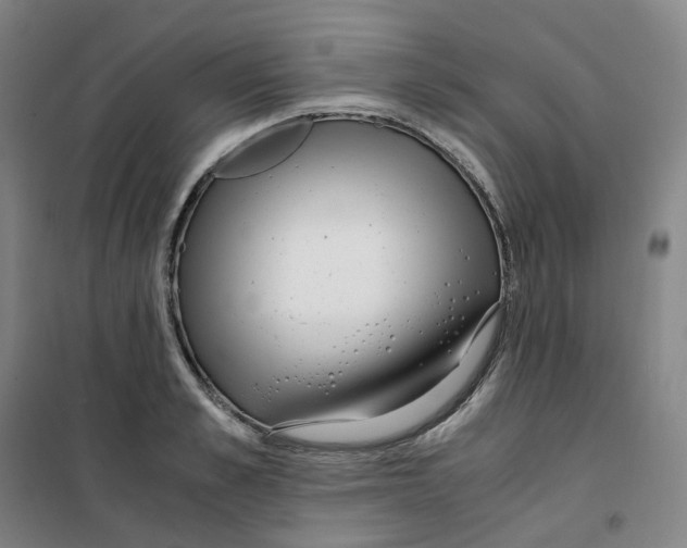 X0000100380989200807031921