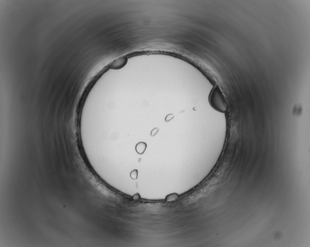 X0000100380990200807031921