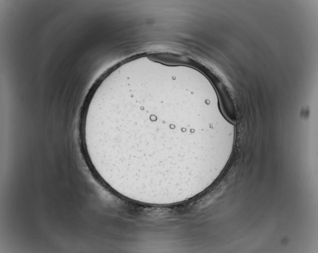 X0000100380991200807031921