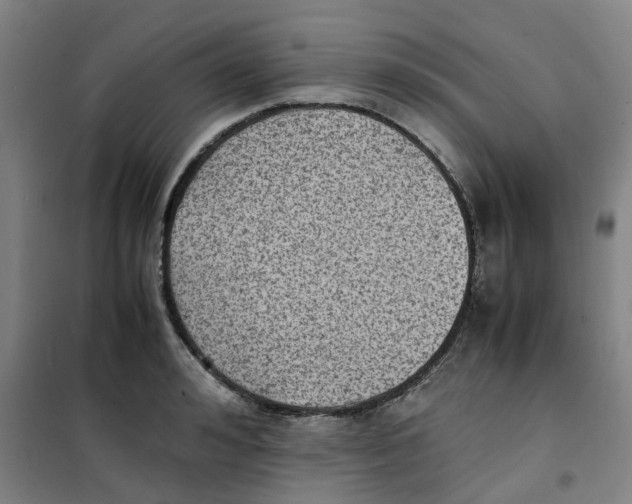 X0000100380992200807031921