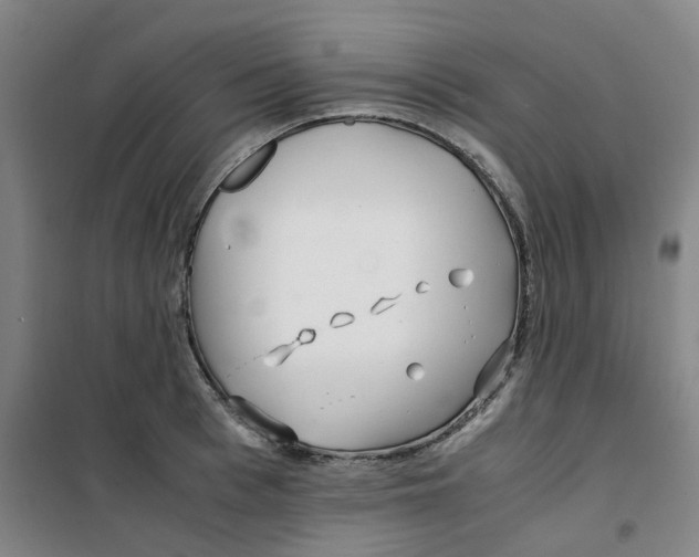 X0000100380993200807031921