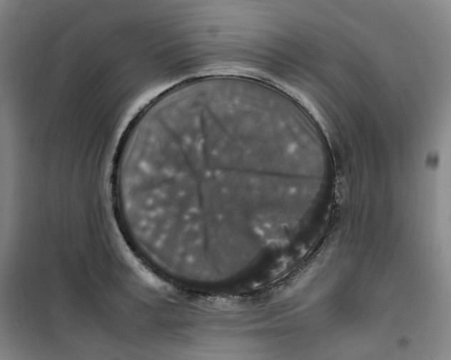 X0000100380995200807031921