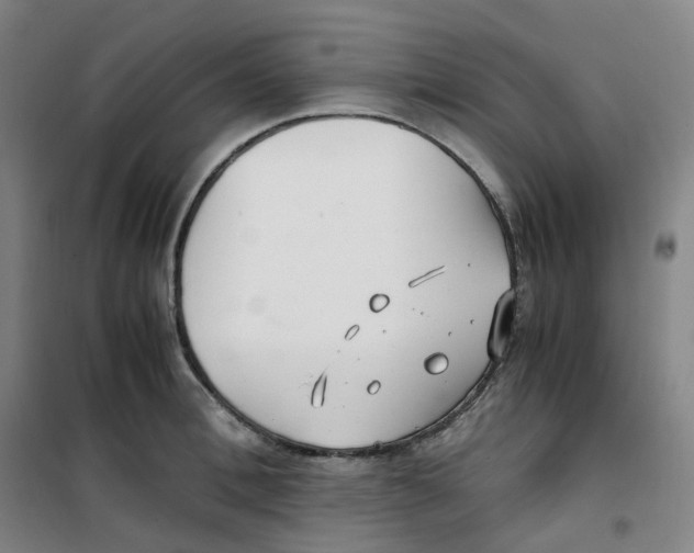 X0000100380996200807031921