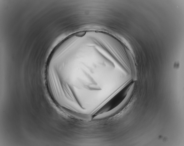 X0000100380997200807031921
