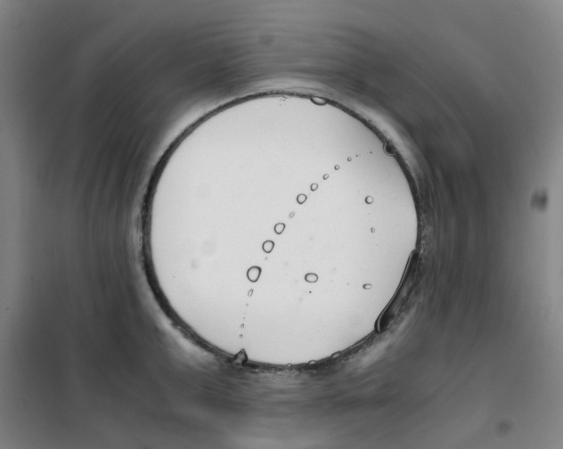 X0000100380999200807031921