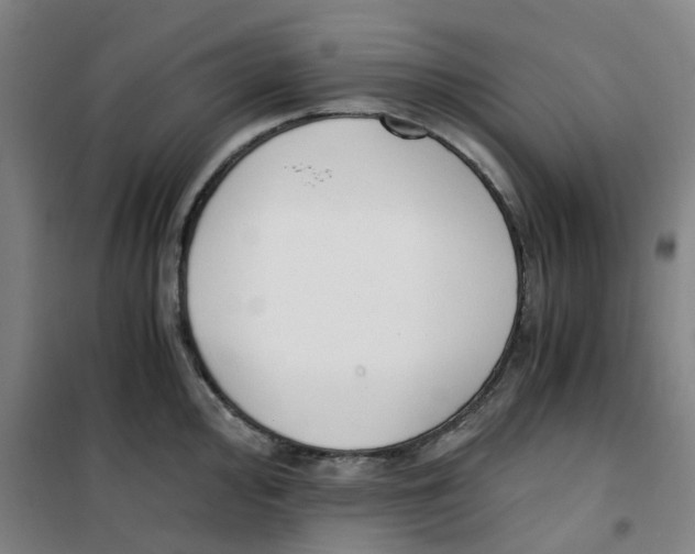 X0000100381000200807031921