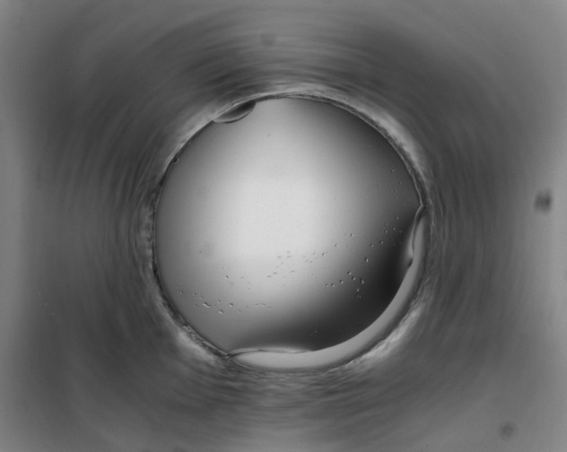 X0000100381001200807031921