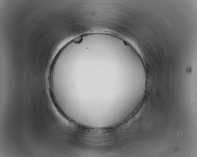 X0000100381003200807031921