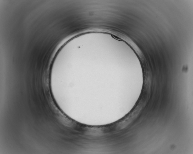 X0000100381004200807031921