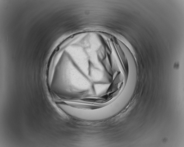 X0000100381005200807031921