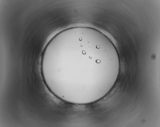 X0000100381006200807031921