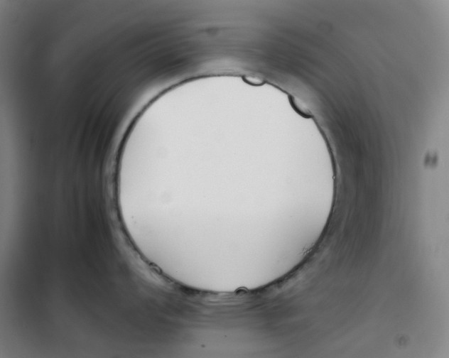 X0000100381008200807031921