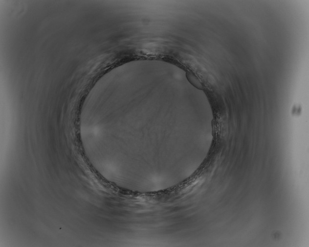 X0000100381009200807031920