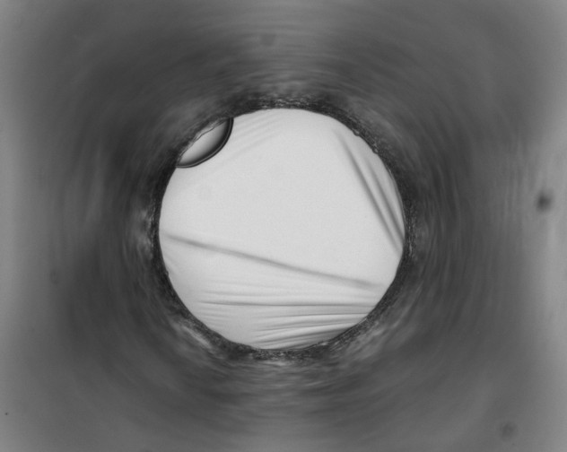 X0000100381010200807031920