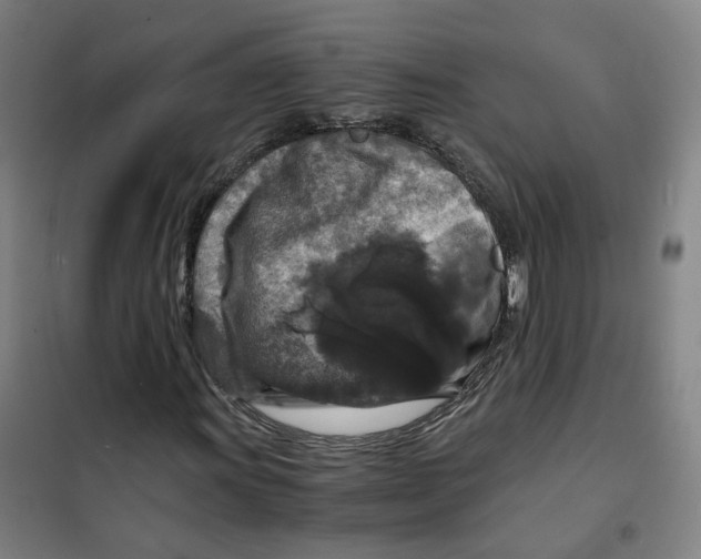 X0000100381011200807031920