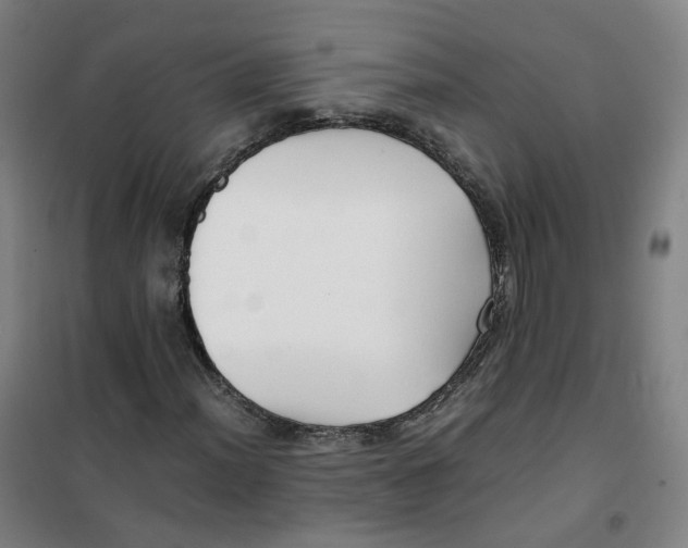 X0000100381012200807031920