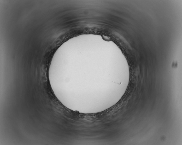 X0000100381013200807031920