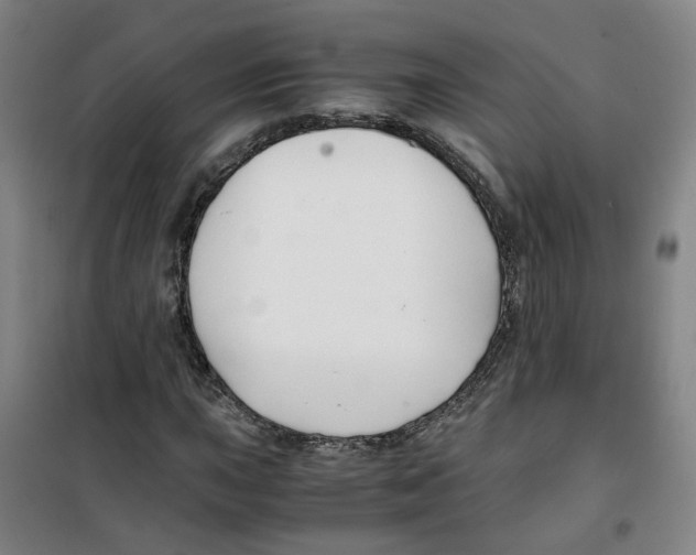X0000100381015200807031920