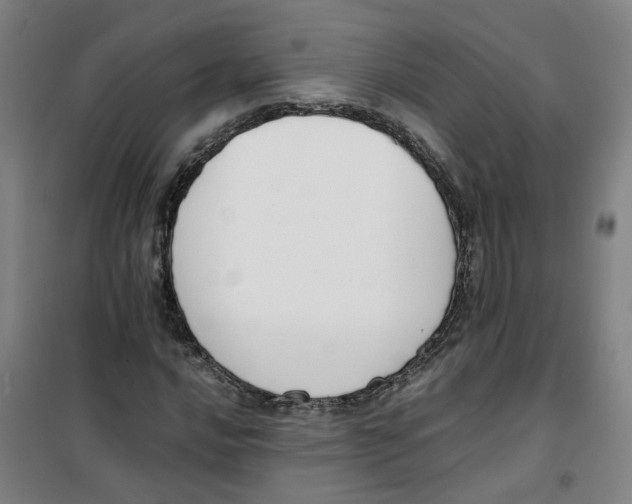 X0000100381016200807031920