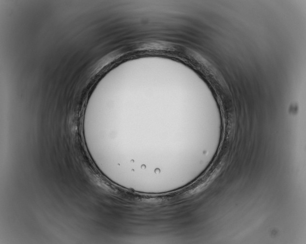 X0000100381017200807031920