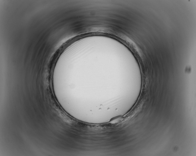X0000100381019200807031920