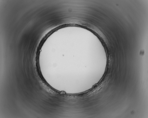 X0000100381020200807031920