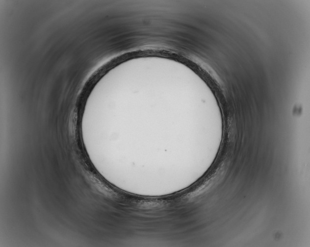 X0000100381021200807031920