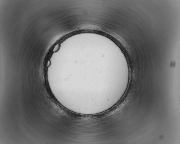 X0000100381022200807031920